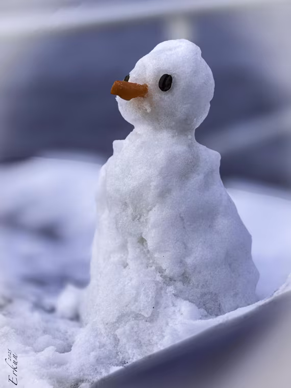 Day 15: Snowman Near the Brunt Iceshelf