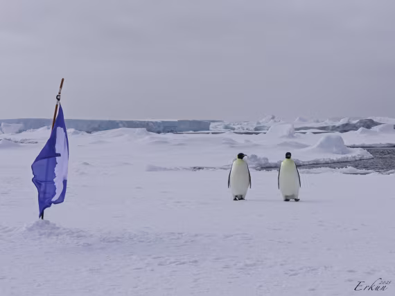 Day 22: Weddell Sea Ice Floe Landing