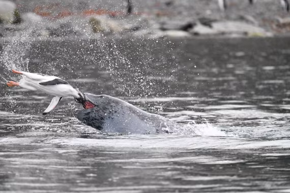 Breakfast at Leopard's