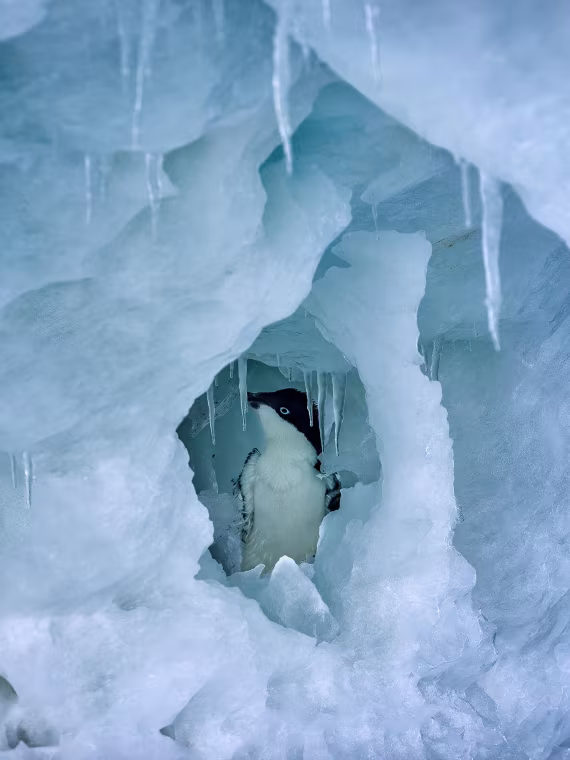 An ice cave wanderer