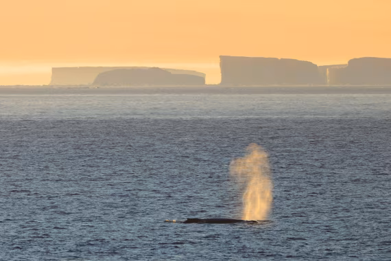 The break of a new day