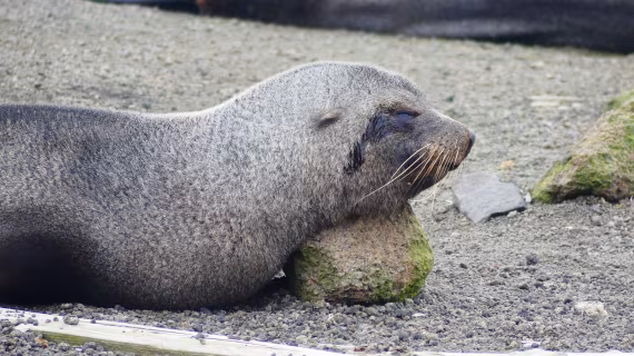 Please do not disturb