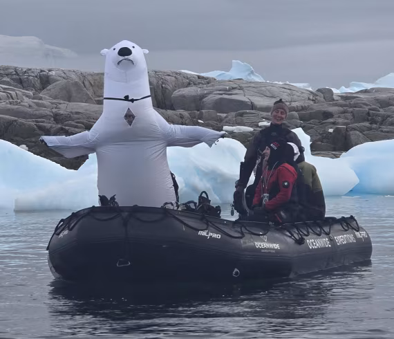 No Polar Bears in Antarctica? Really?