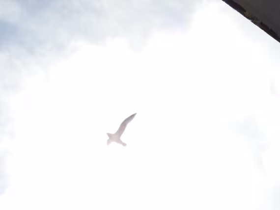 Flying to the Heavens