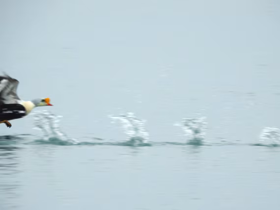 Skipping along. . .