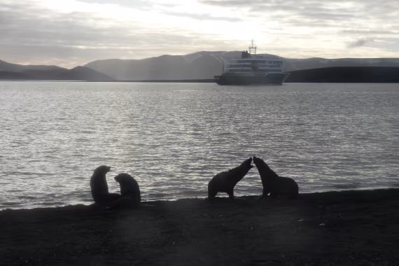 Silhouetten