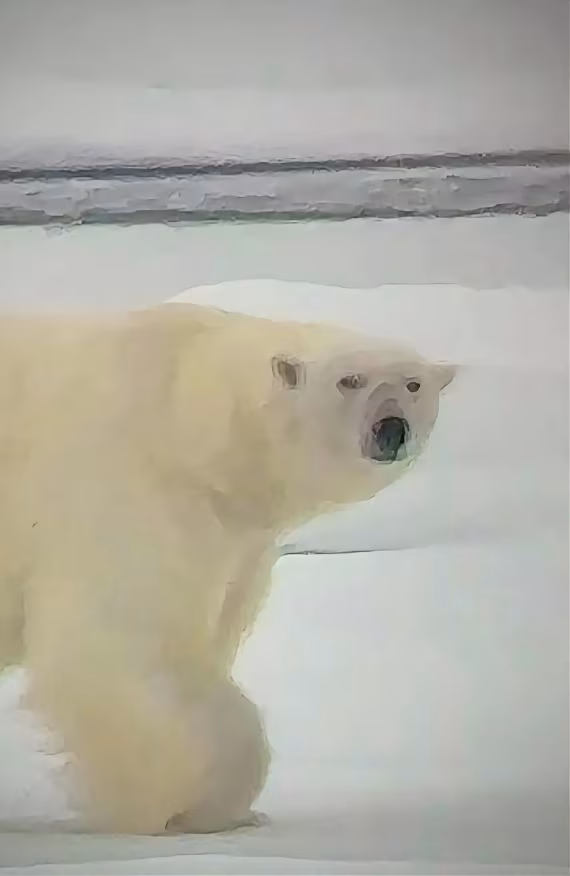 Say hello