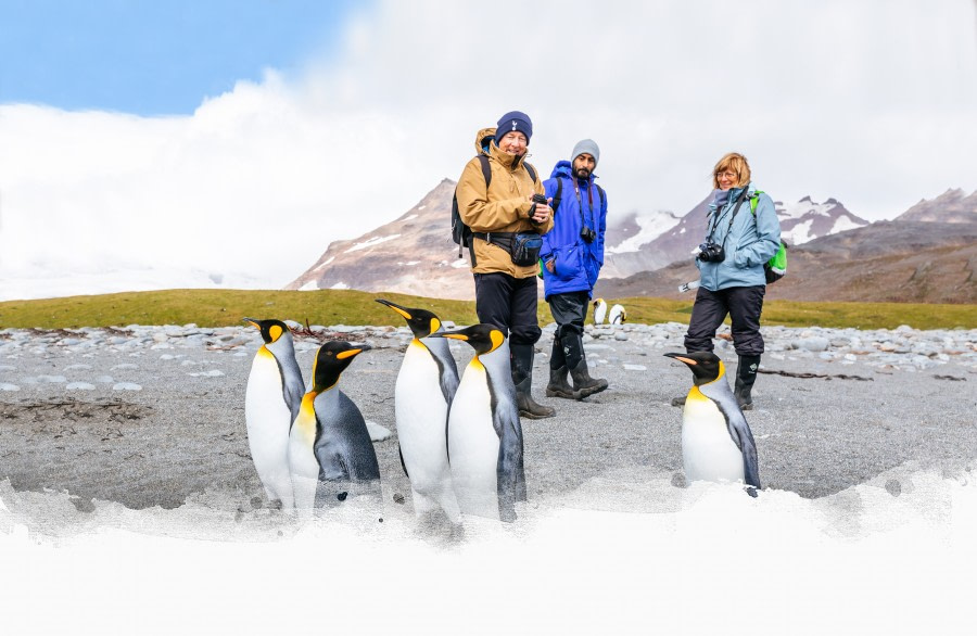 South Georgia | Travel to South Georgia