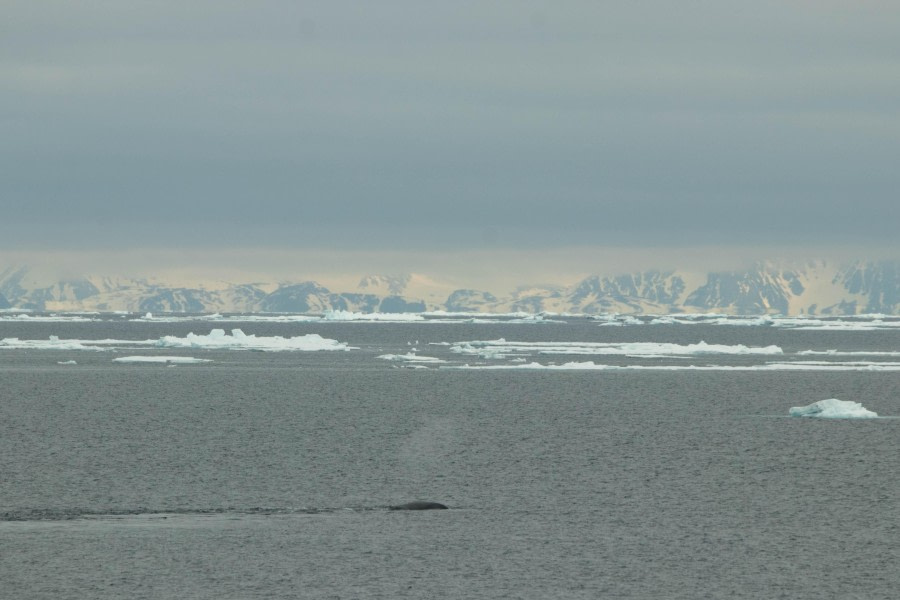 Boottocht op zee-ijs - Noord-Spitsbergen
