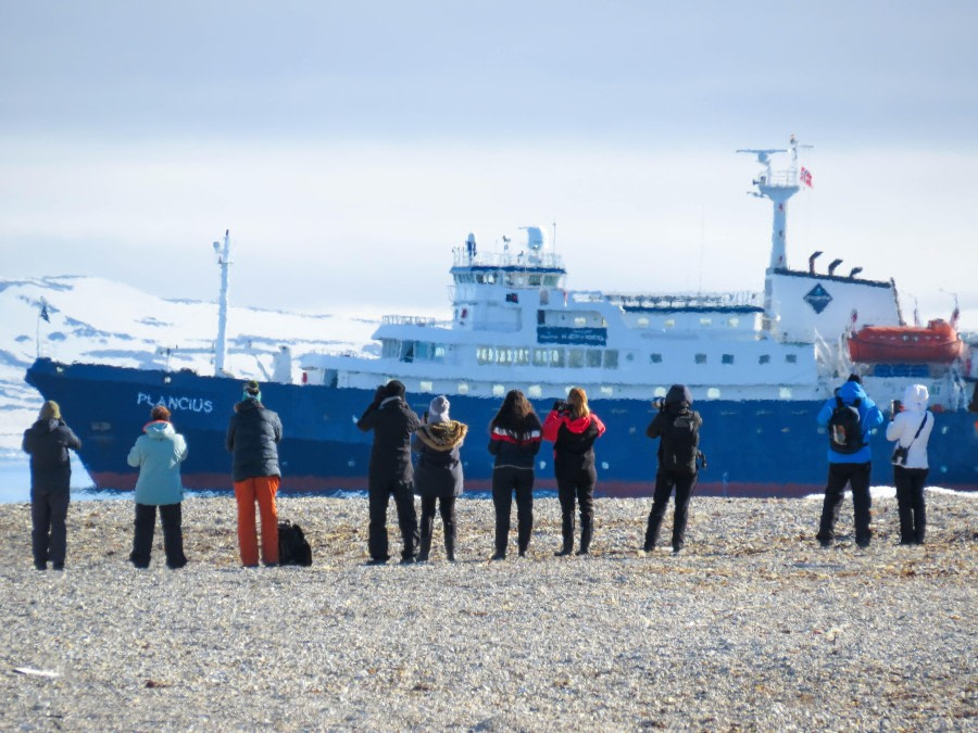 Straat van Hinlopen - Alkefjellet en Torellneset