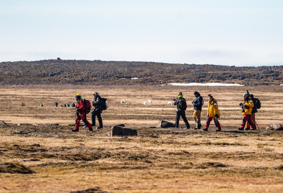 Russebukta en Habenichbukta