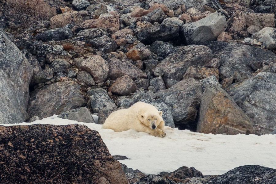 Smeerenburg &amp; Raudfjorden