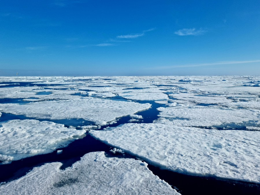 Cruisen op het pakijs