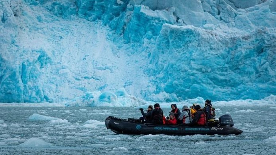 Lilliehöökbreen en Signehamna