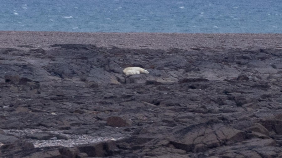 Alkefjellet en Glydénøyane