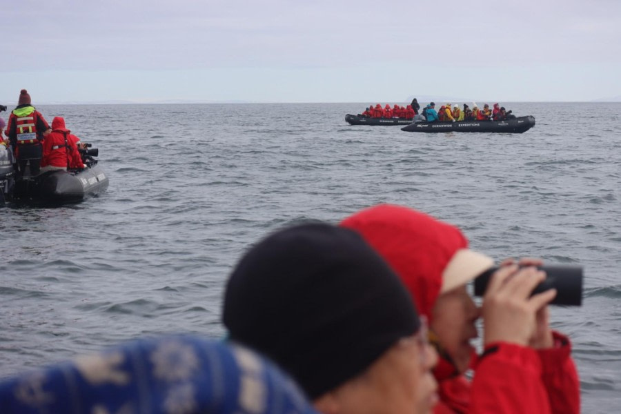 Phippsøya (am) en Parryøya (pm)