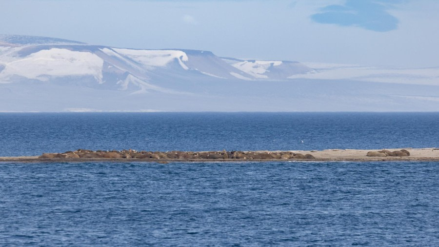 Eilanden rondom Hinlopenstretet