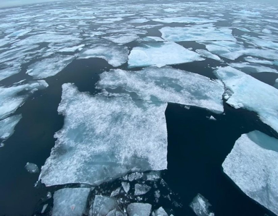Cruisen op het pakijs