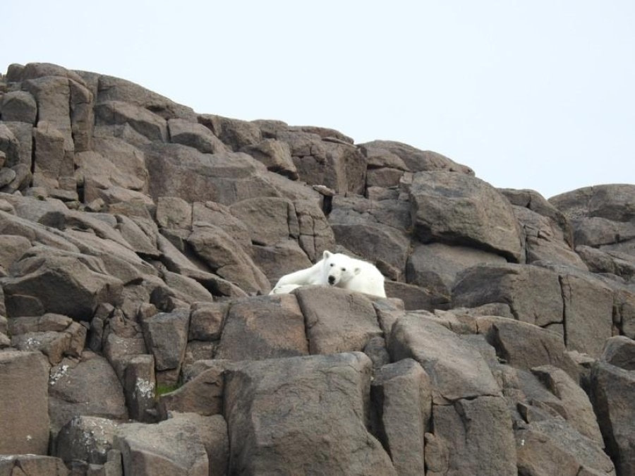 Alkefjellet &amp; Tommelen
