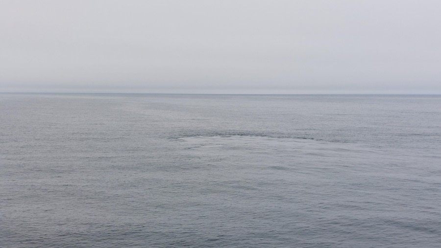 Longyearbyen - Ontscheping