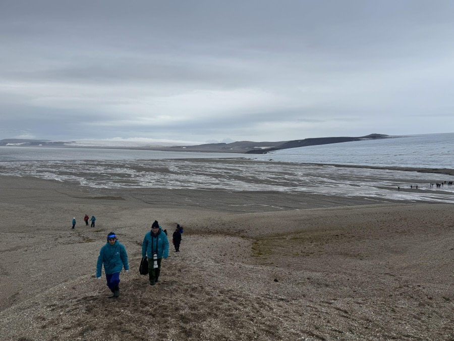 Alkefjellet &amp; Torrelneset