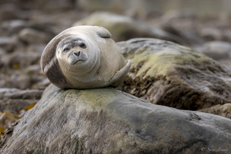 Magdalenafjord en Smeerenburg
