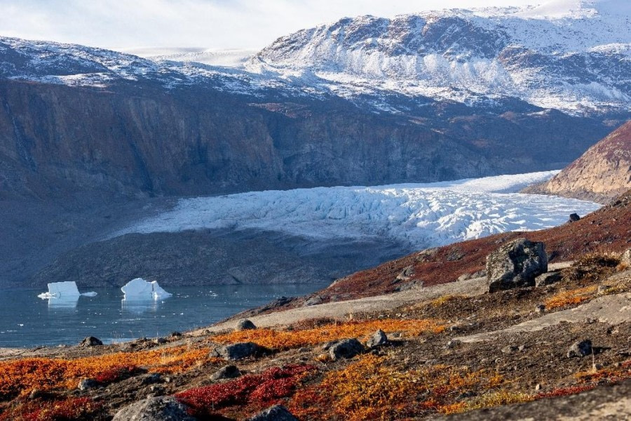 Harefjord (Vindue Gletscher) &amp; Rødefjord (Rødepynten)