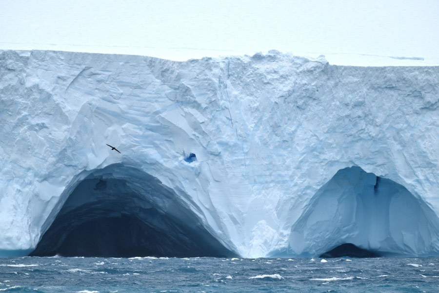 Gold Harbour, Cooper Bay en Drygalski Fjord