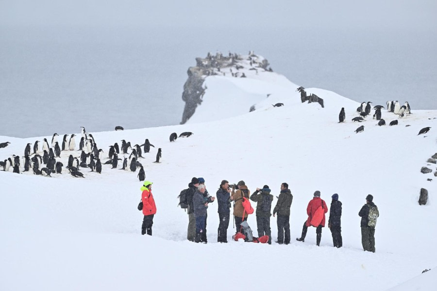 Antarctisch geluid, Straat van Bransfield en Halfmooneiland