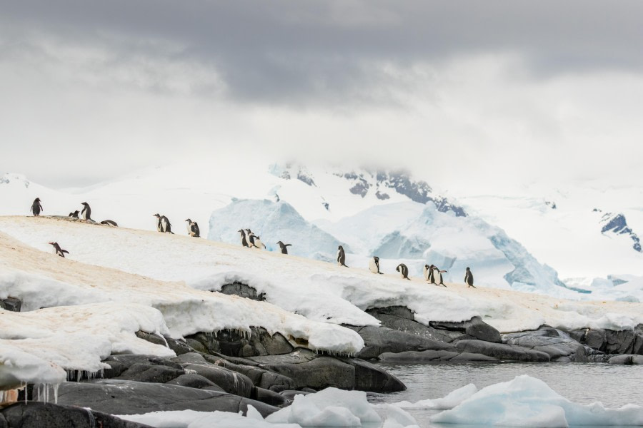 Ketley Point et les îles de l'Orne