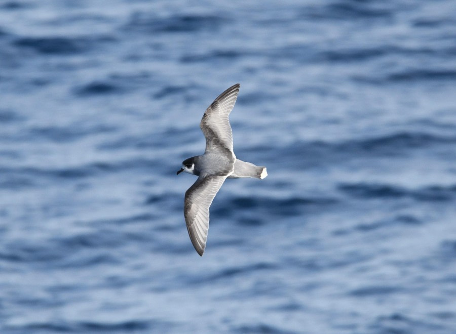 En mer, passage de Drake.