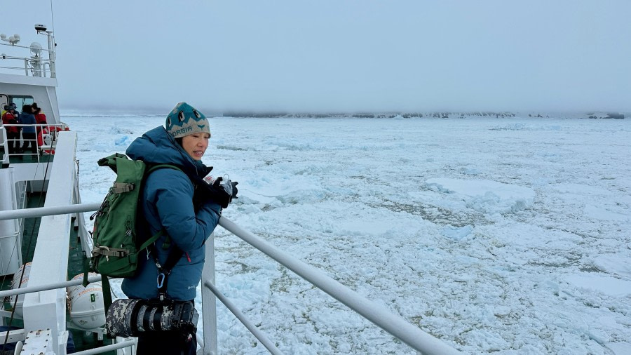 Croisière dans le détroit de l'Antarctique