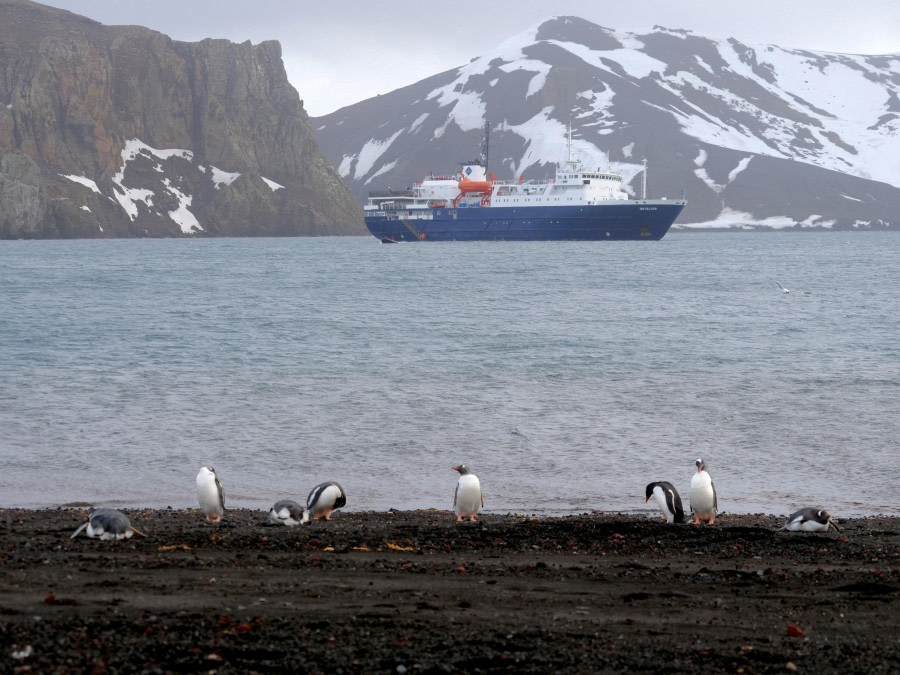 Drake Passage & Deception Island