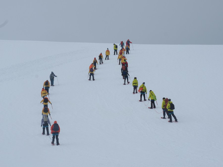 Neko Harbour and Brown Station