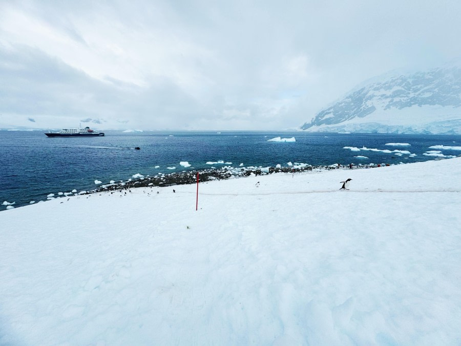 Neko Harbour and Orne Harbour