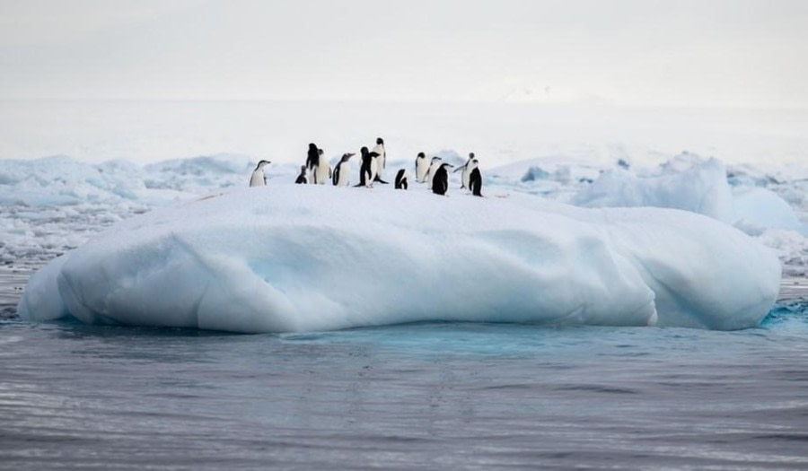 At sea towards Antarctica and Lindblad Cove