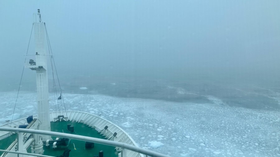 At sea, sailing towards Antarctica