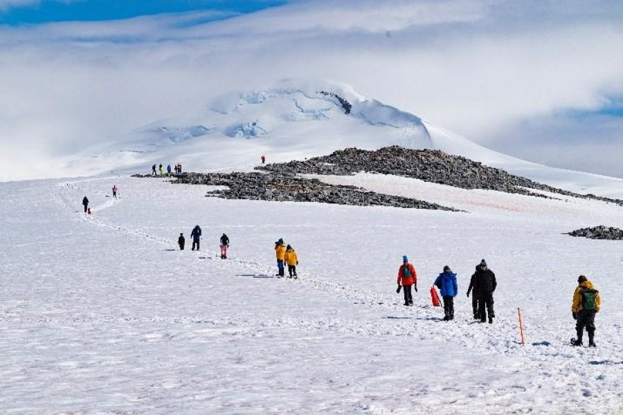 Orne Islands & Damoy Point