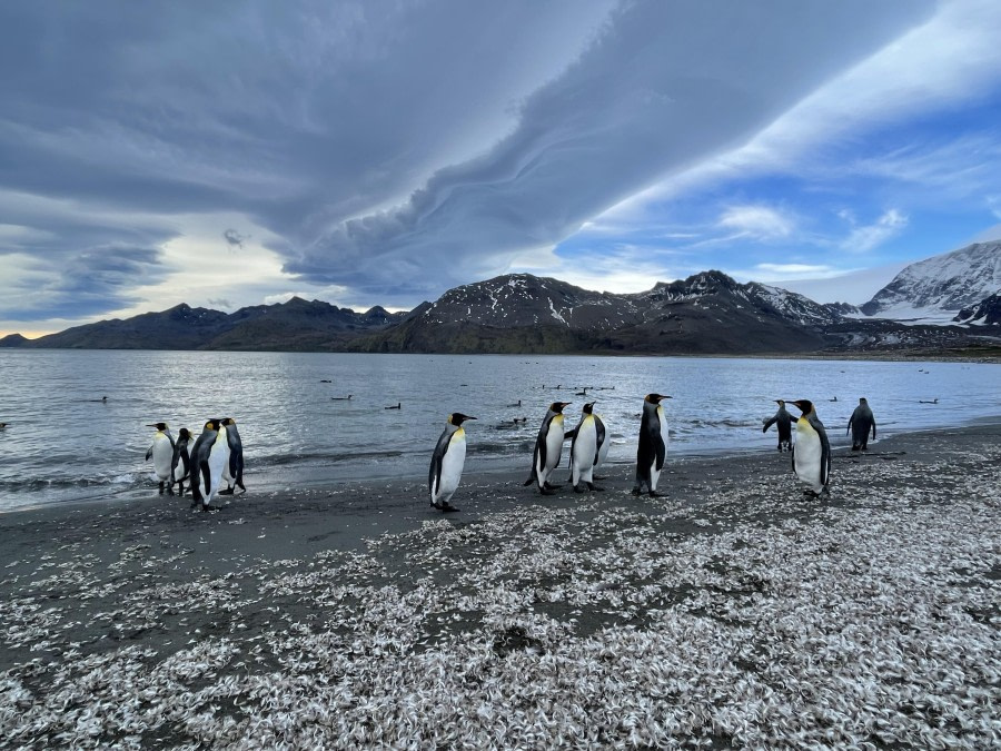 St Andrews & Godthul