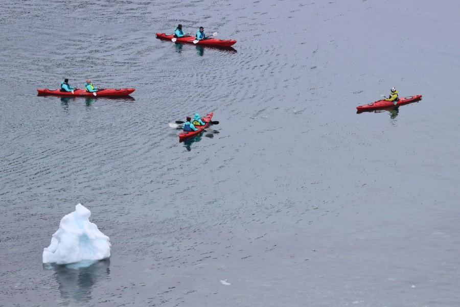 Danco Island & Cuverville Island