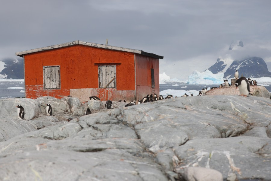 Port Charcot & Petermann Island