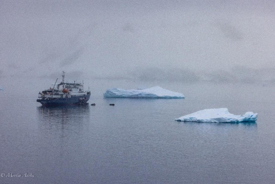 Orne Island & Damoy, Dorian Bay