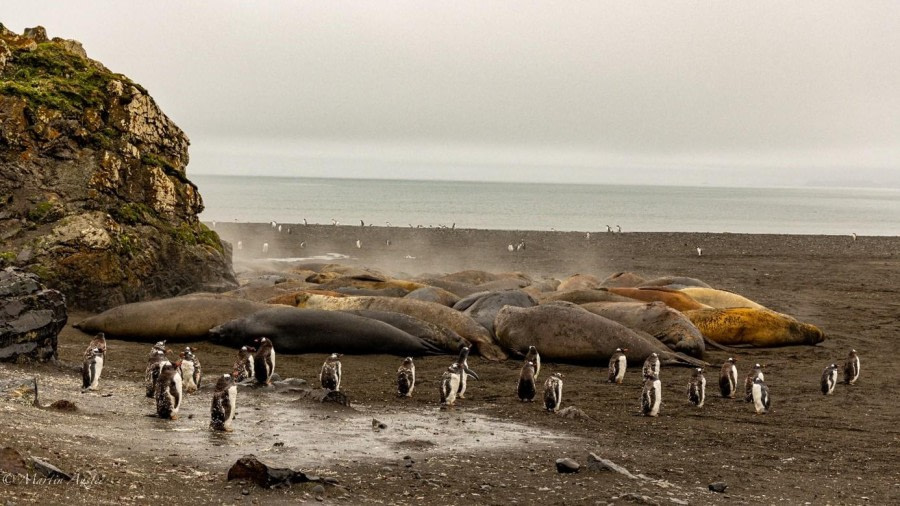 Deception Island & Elephant Point