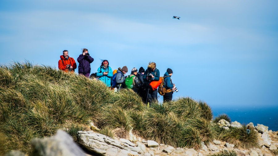 New Island Settlement, The Falkland Islands