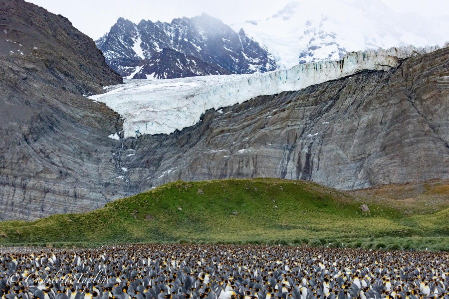 Gold Harbour and Stormy Afternoon