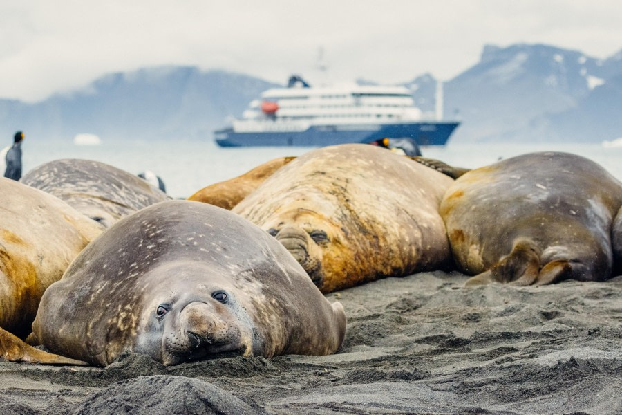 At sea, Ship Cruise Gerlache Straight