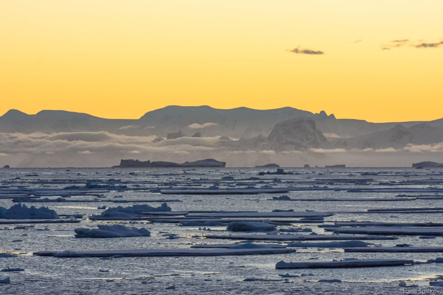 Crystal Sound and Antarctic Circle