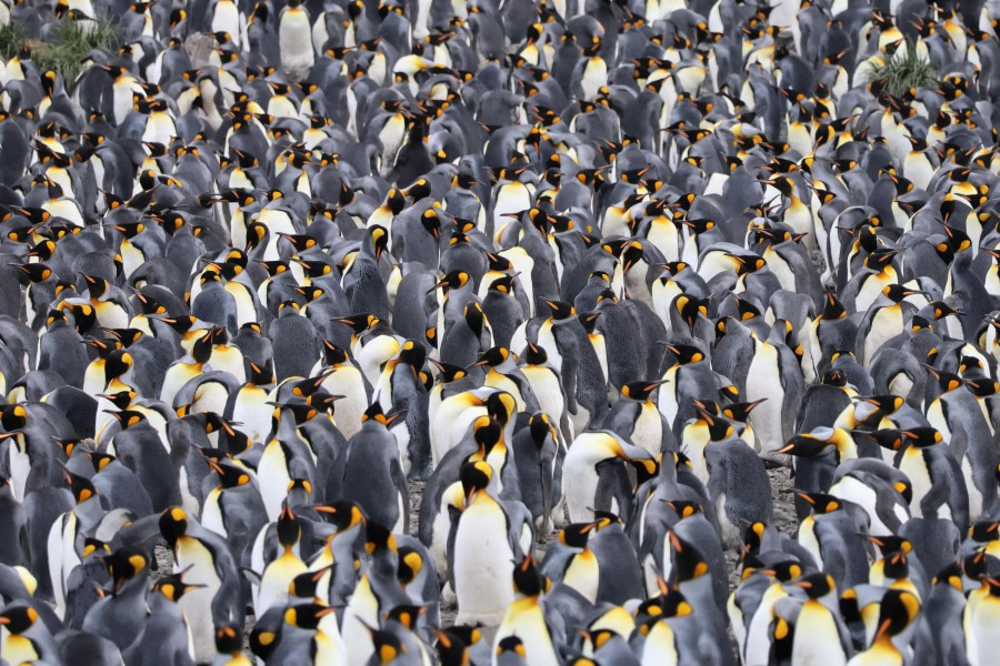 At Sea & Right Whale Bay