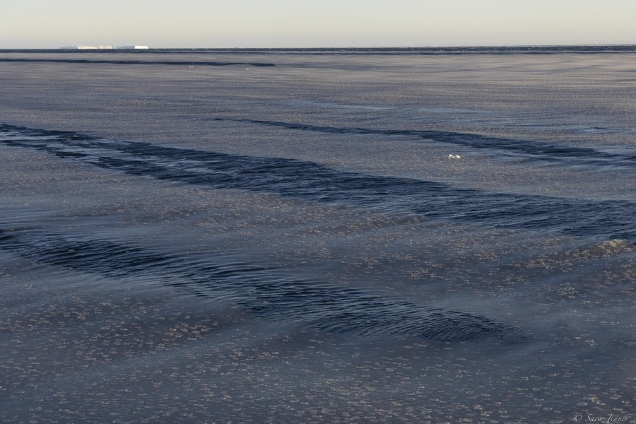 Northbound in the Weddell Sea