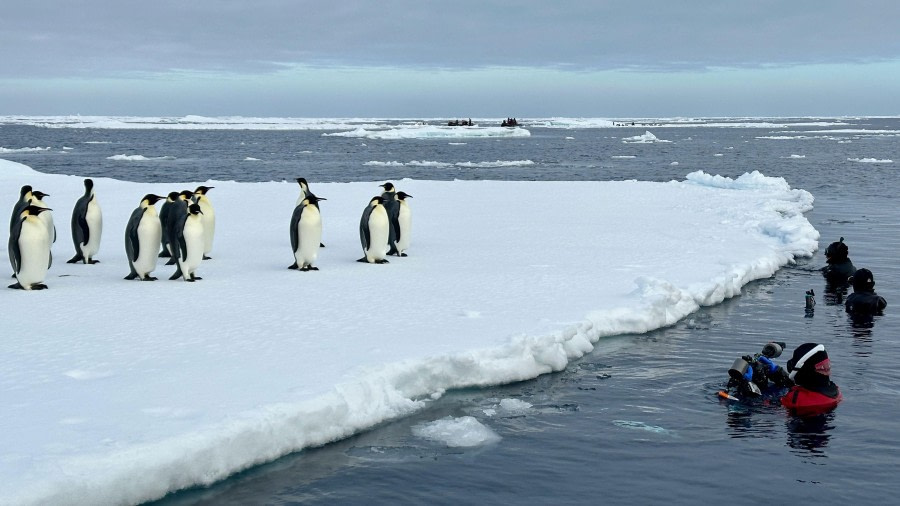 The north-western Weddell Sea pack-ice